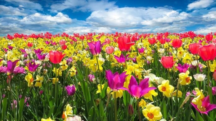 Primavera en México