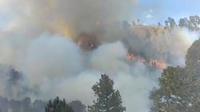 Reportan incendios